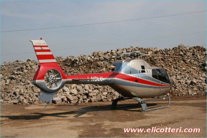 elifoto (131)